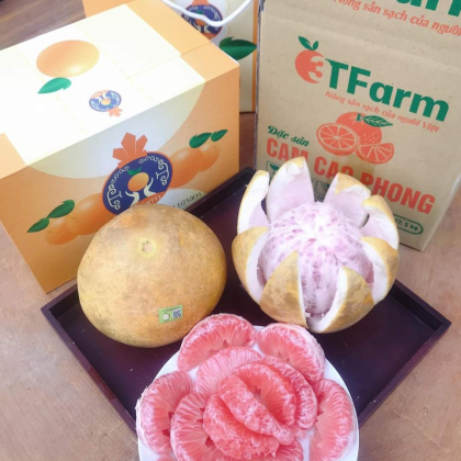 Bưởi đỏ Tân Lạc